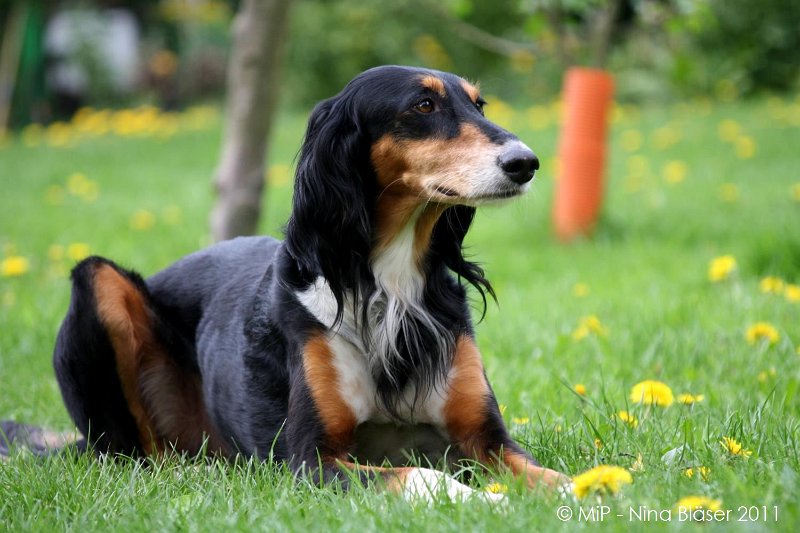 2011-04-23 Quincy etc (55).jpg